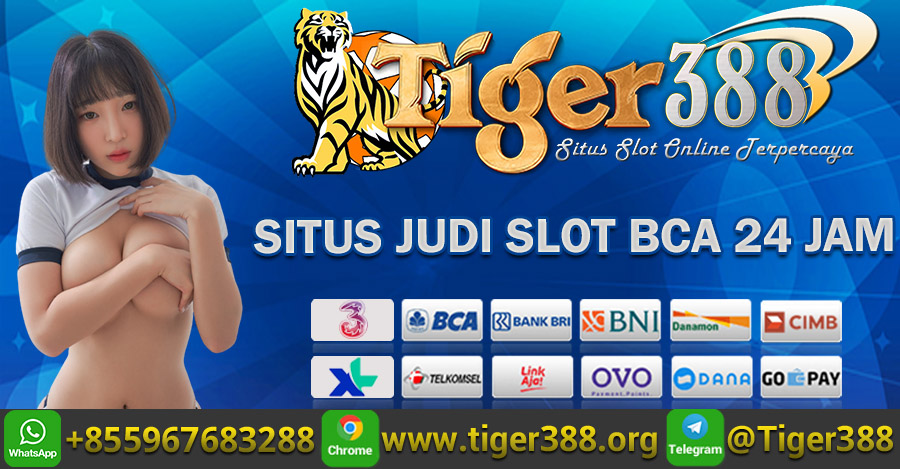 Situs Judi Slot BCA 24 Jam